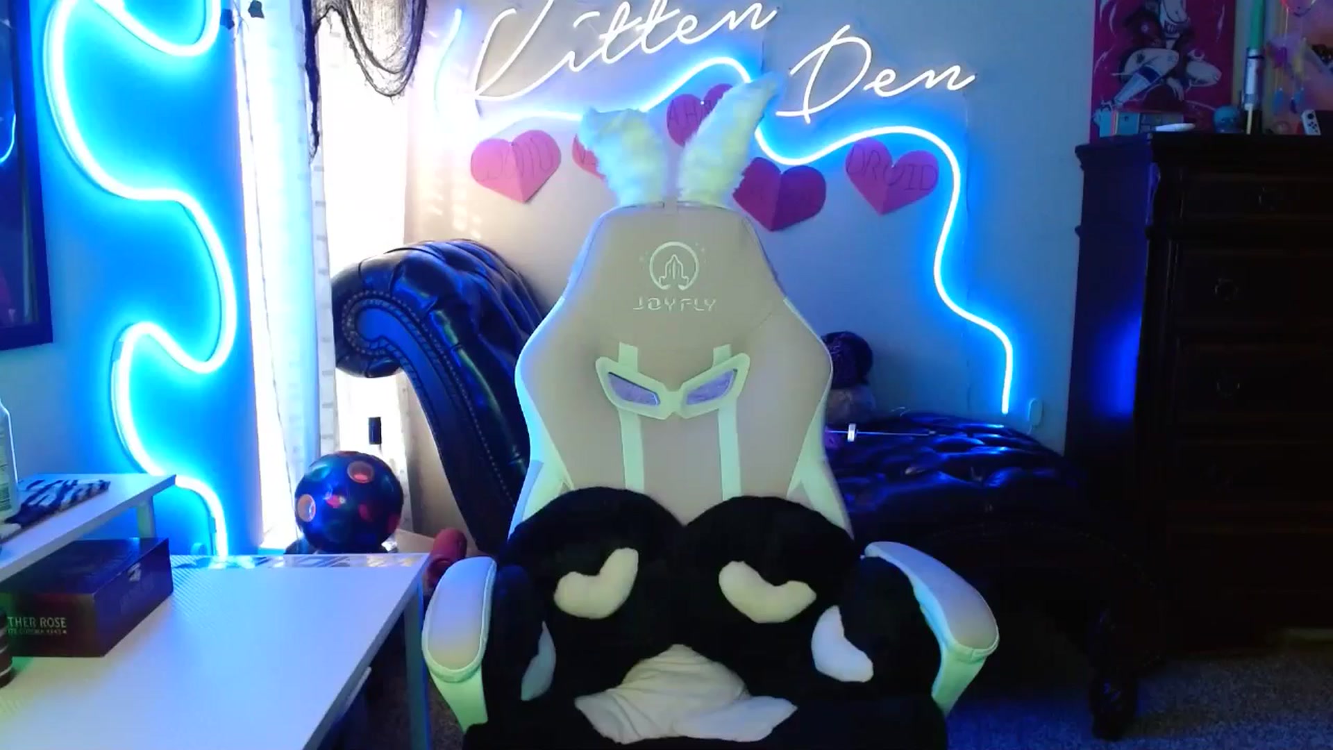 Gallery image thumbnail from Squidvicious9's myfreecams stream on, 07/29/2024, 24:31 image 15 of 20