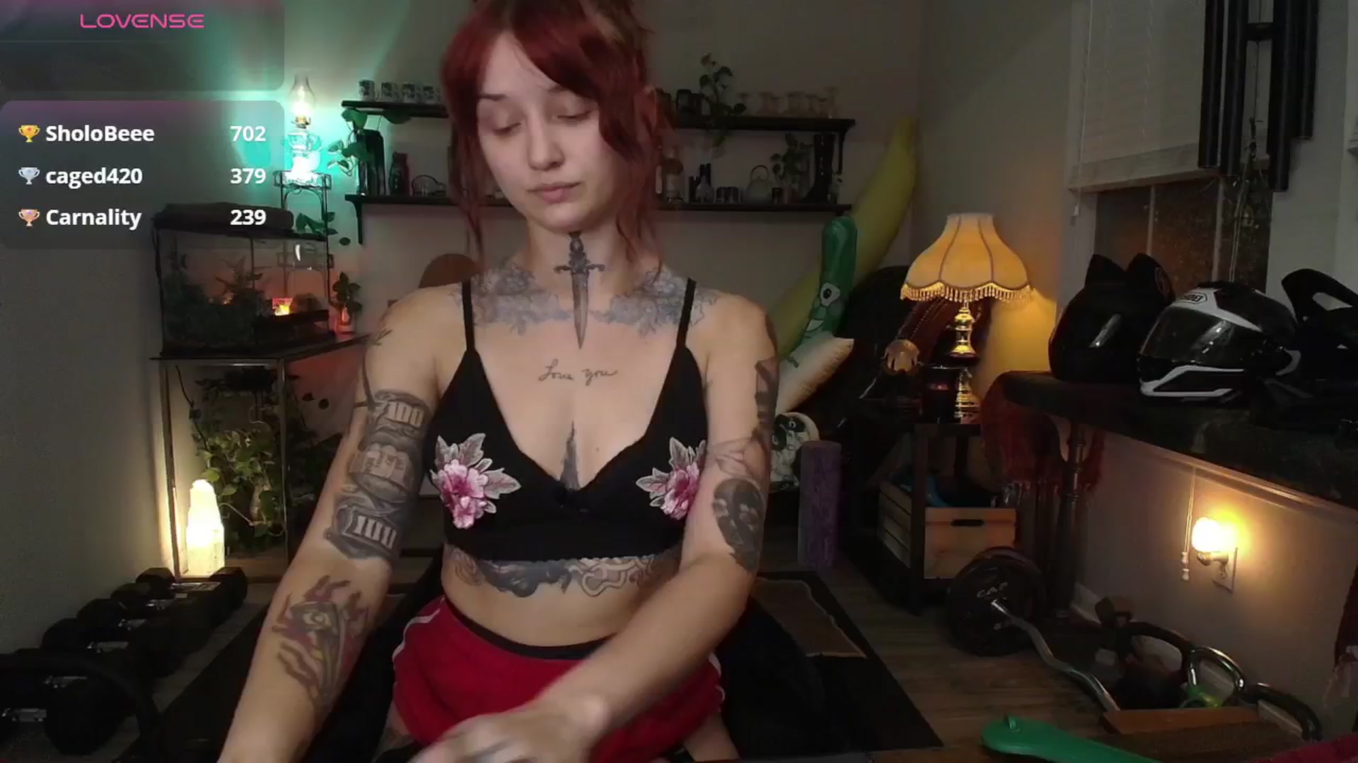 Gallery image thumbnail from Squidvicious9's myfreecams stream on, 11/17/2024, 05:04 image 14 of 20
