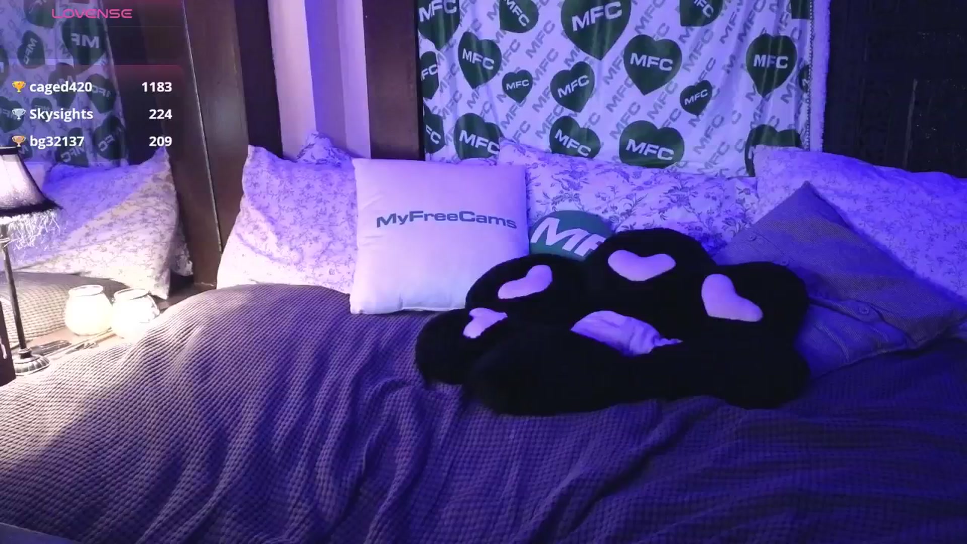 Gallery image thumbnail from Squidvicious9's myfreecams stream on, 11/27/2024, 07:06 image 5 of 20