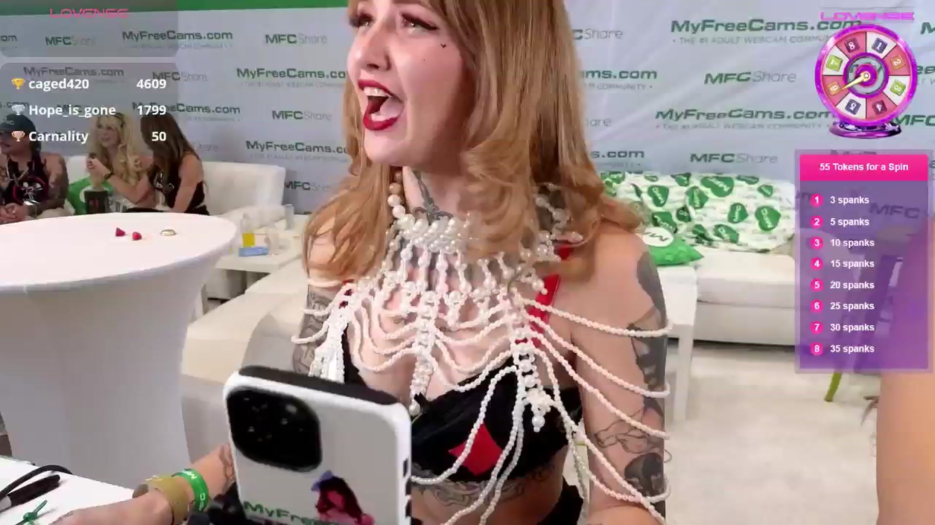 Gallery image thumbnail from Squidvicious9's myfreecams stream on, 01/24/2025, 03:42 image 15 of 20