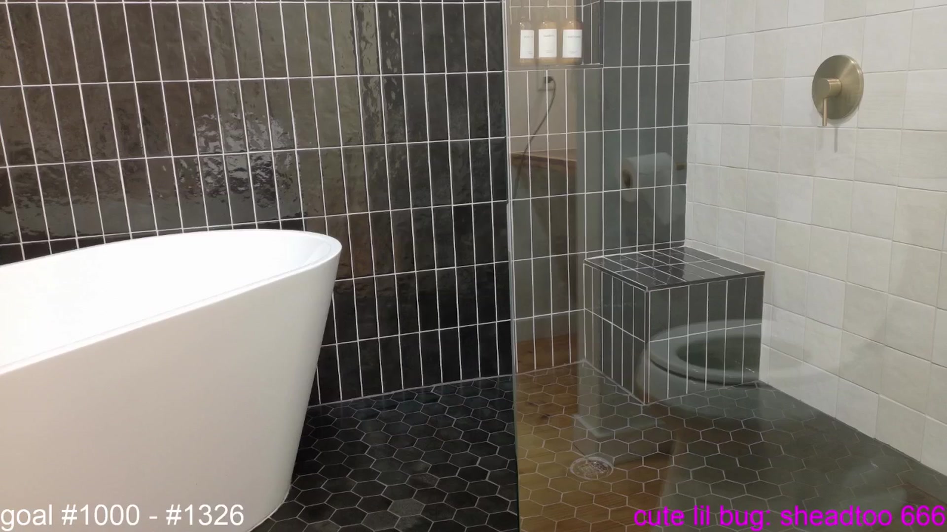 Gallery image thumbnail from Squidvicious9's myfreecams stream on, 04/17/2025, 05:21 image 15 of 20