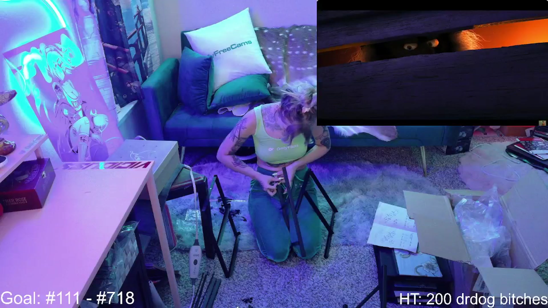 Gallery image thumbnail from Squidvicious9's myfreecams stream on, 06/03/2025, 06:06 image 5 of 20