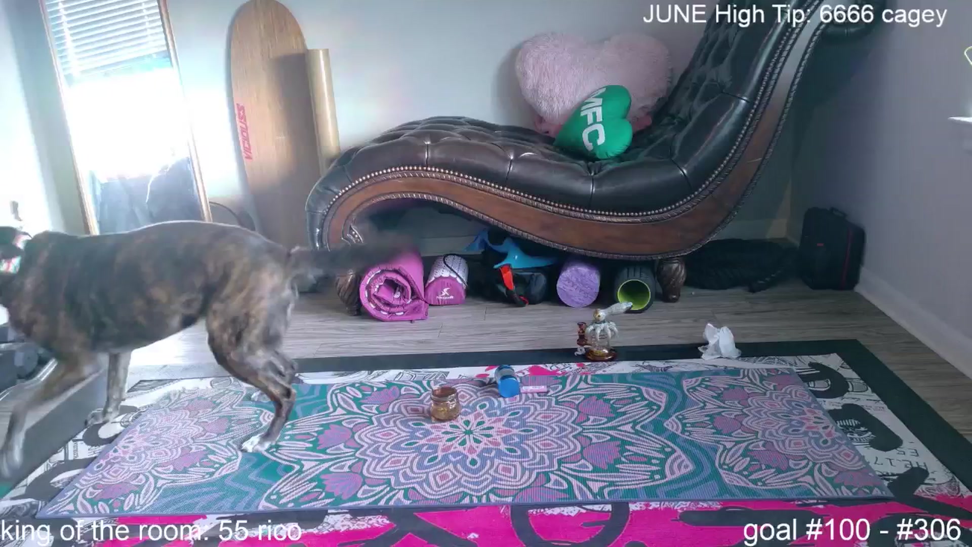 Gallery image thumbnail from Squidvicious9's myfreecams stream on, 06/11/2025, 02:26 image 10 of 20