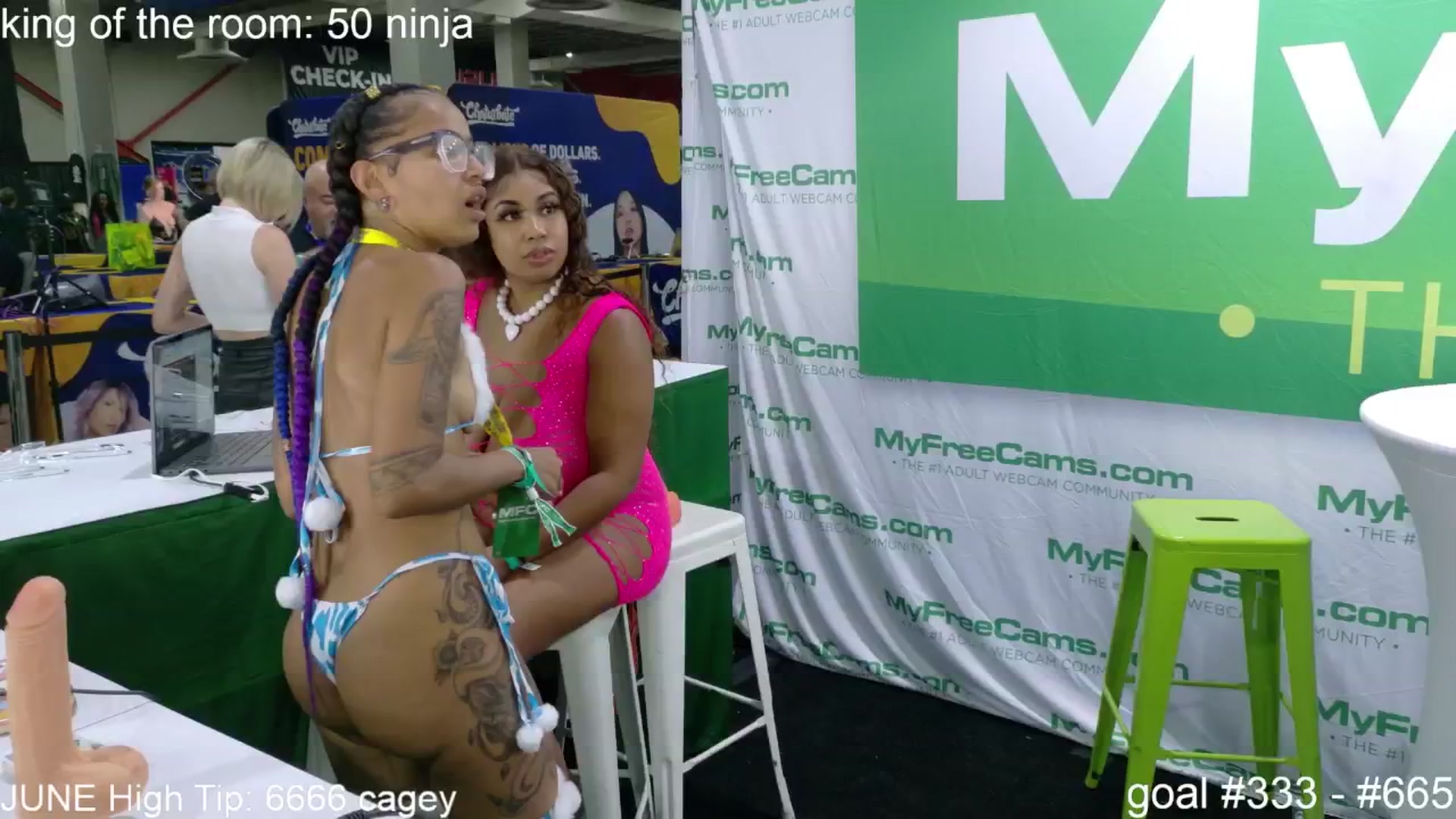 Gallery image thumbnail from Squidvicious9's myfreecams stream on, 06/28/2025, 24:02 image 3 of 20