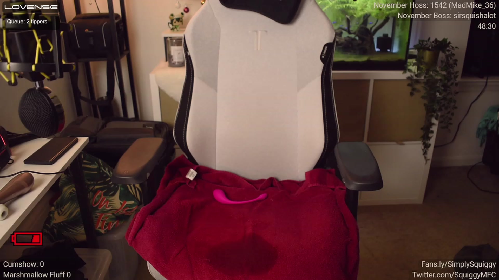 Gallery image thumbnail from Squiggy's myfreecams stream on, 11/24/2022, 07:42 image 18 of 20
