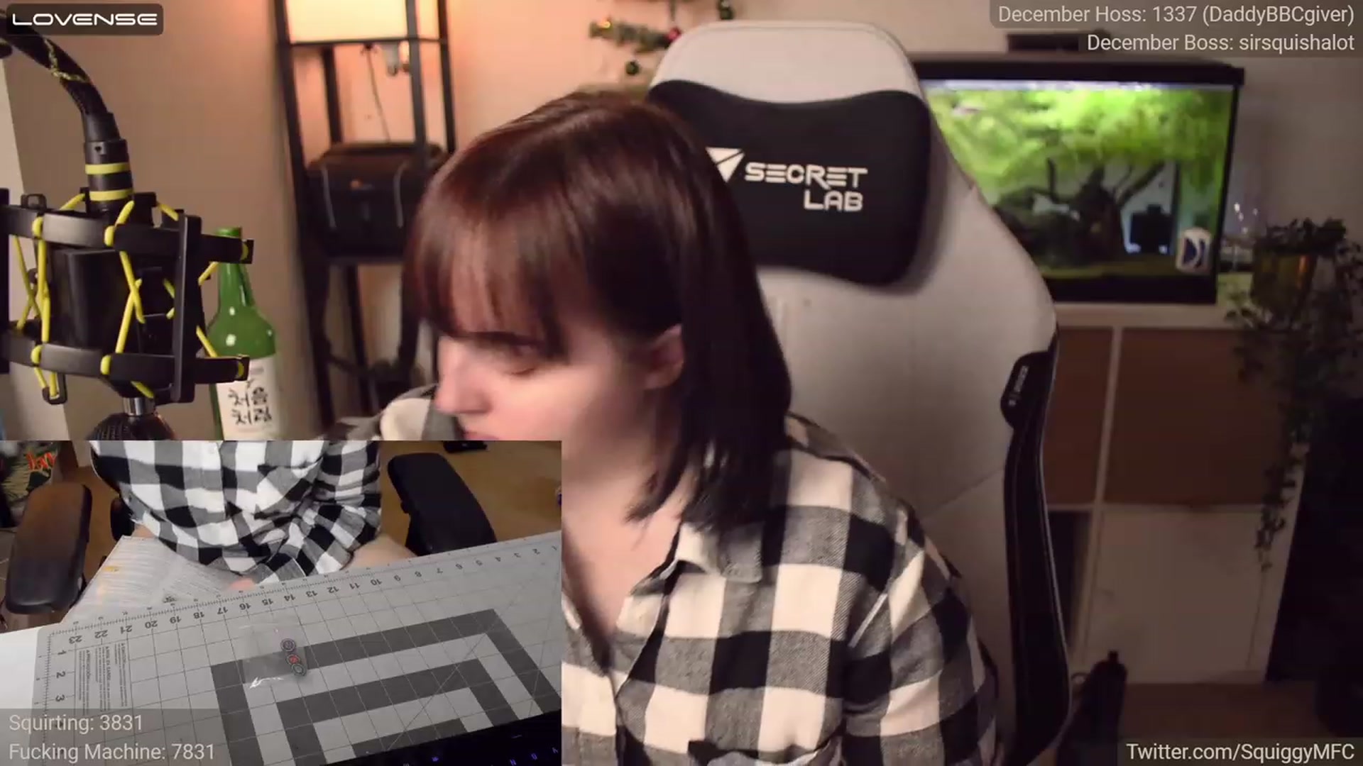Gallery image thumbnail from Squiggy's myfreecams stream on, 12/19/2022, 05:59 image 8 of 20