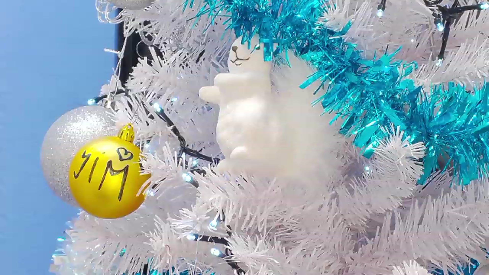 Gallery image thumbnail from Squirrel_MFC's myfreecams stream on, 12/13/2022, 24:48 image 8 of 20