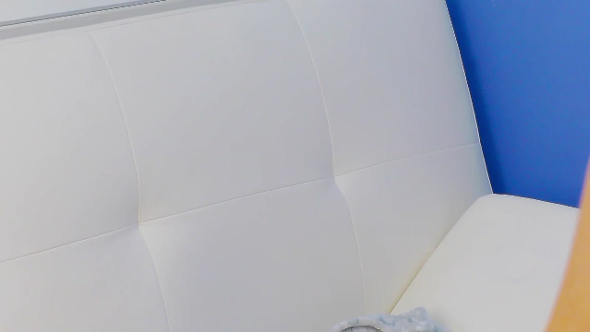 Gallery image thumbnail from Squirrel_MFC's myfreecams stream on, 03/05/2023, 22:48 image 10 of 20