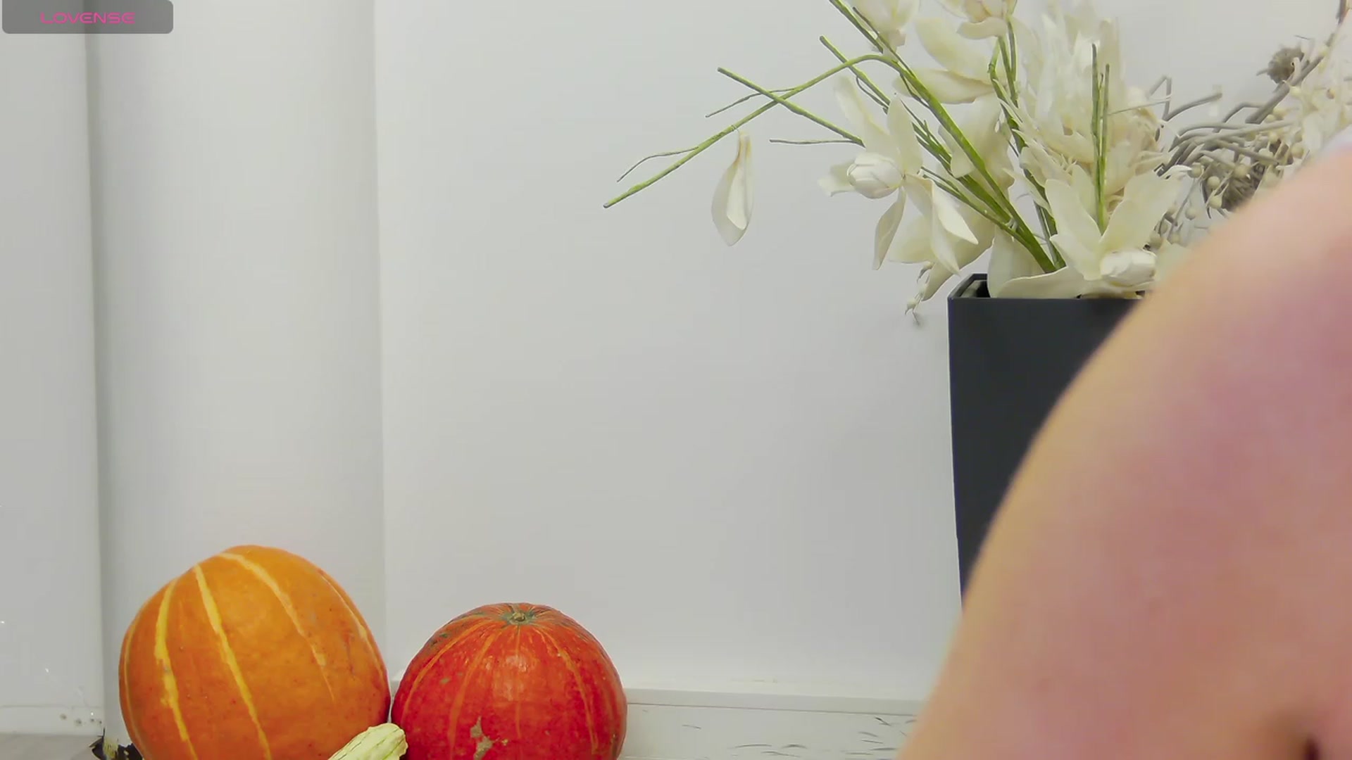 Gallery image thumbnail from Squirrel_MFC's myfreecams stream on, 10/20/2023, 24:02 image 15 of 20
