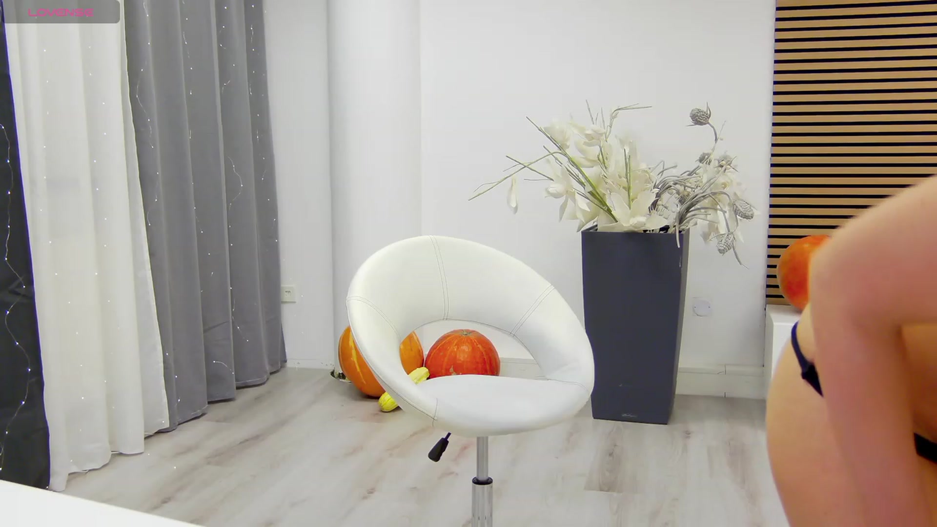 Gallery image thumbnail from Squirrel_MFC's myfreecams stream on, 11/15/2023, 24:02 image 20 of 20