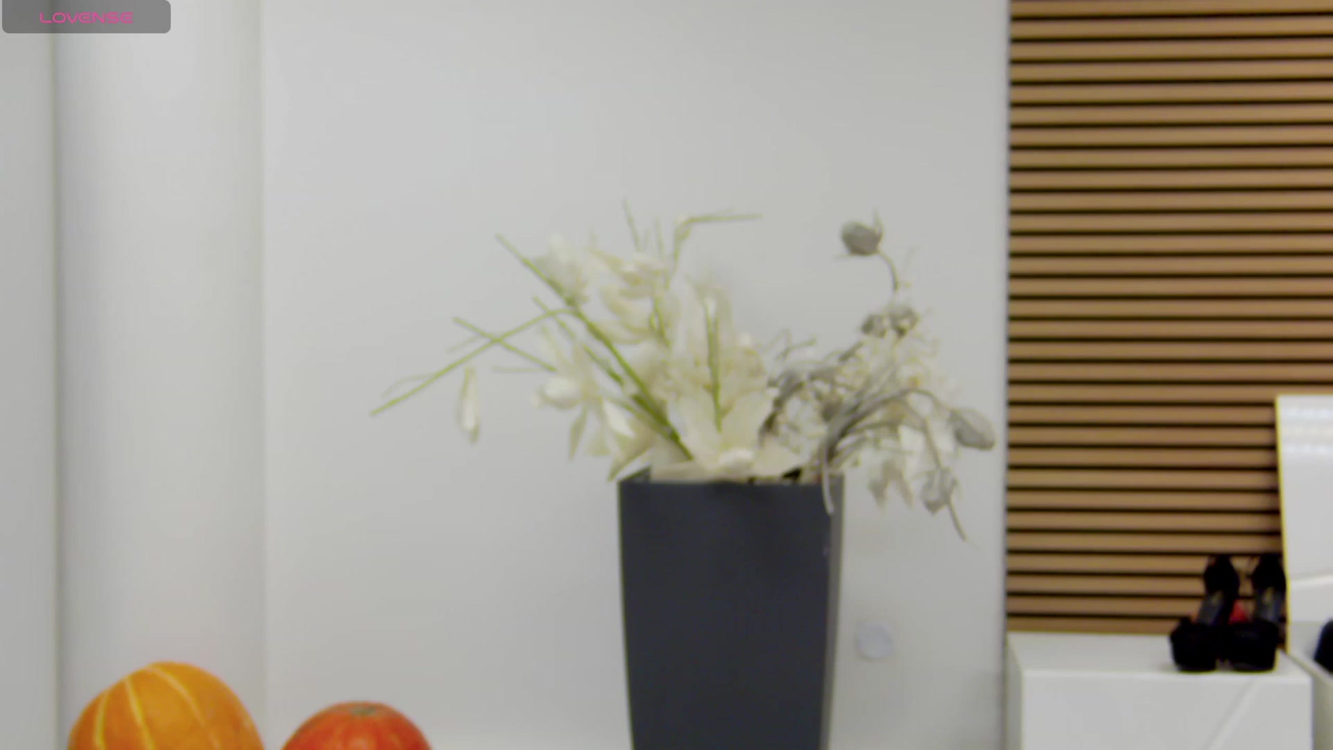 Gallery image thumbnail from Squirrel_MFC's myfreecams stream on, 11/18/2023, 23:41 image 2 of 20