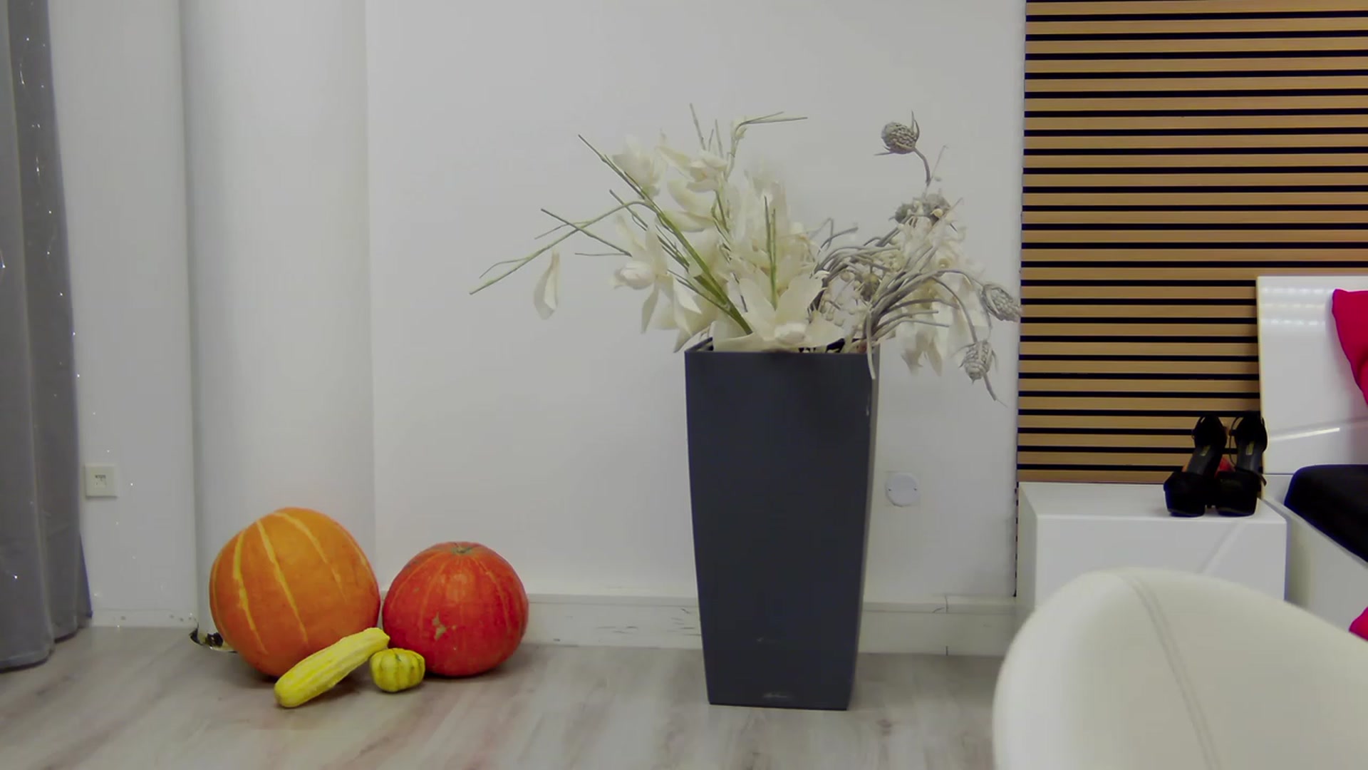 Gallery image thumbnail from Squirrel_MFC's myfreecams stream on, 11/21/2023, 22:20 image 2 of 20