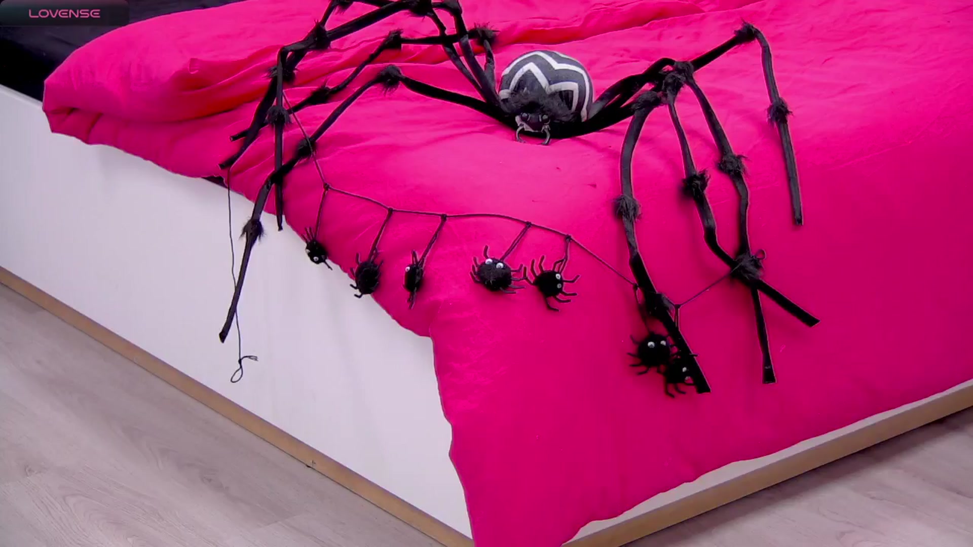 Gallery image thumbnail from Squirrel_MFC's myfreecams stream on, 10/29/2024, 08:08 image 8 of 20