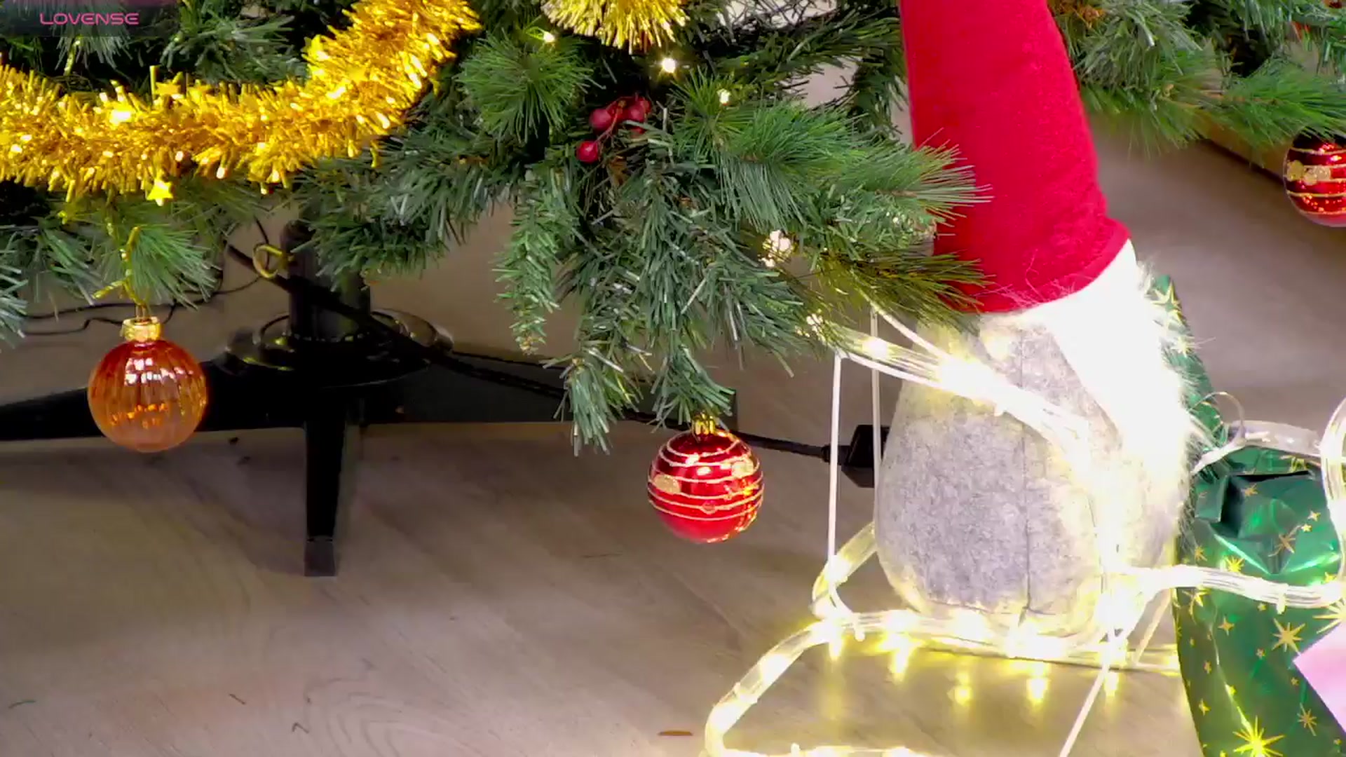 Gallery image thumbnail from Squirrel_MFC's myfreecams stream on, 12/21/2024, 19:27 image 14 of 20