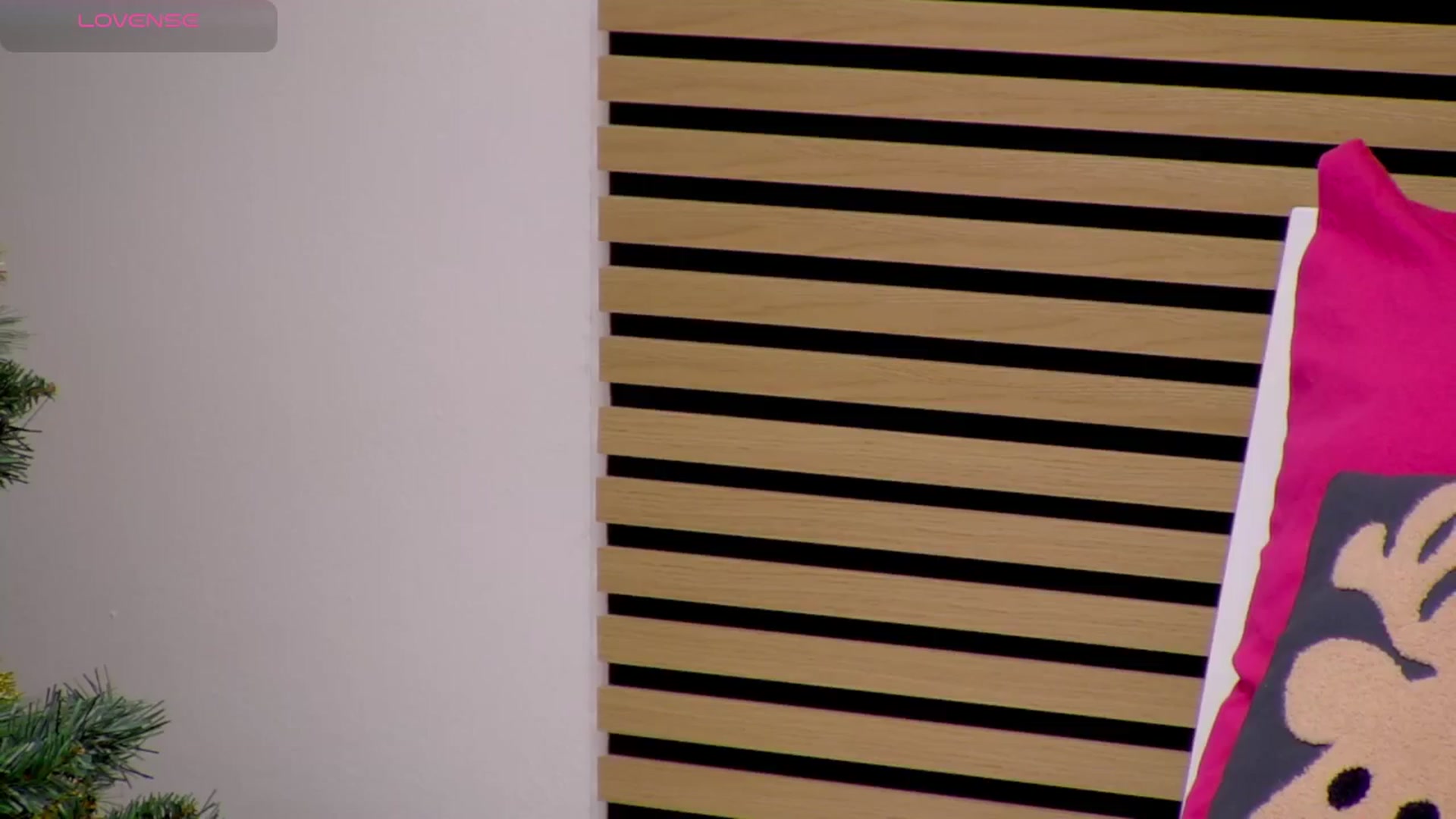 Gallery image thumbnail from Squirrel_MFC's myfreecams stream on, 12/31/2025, 02:02 image 10 of 20