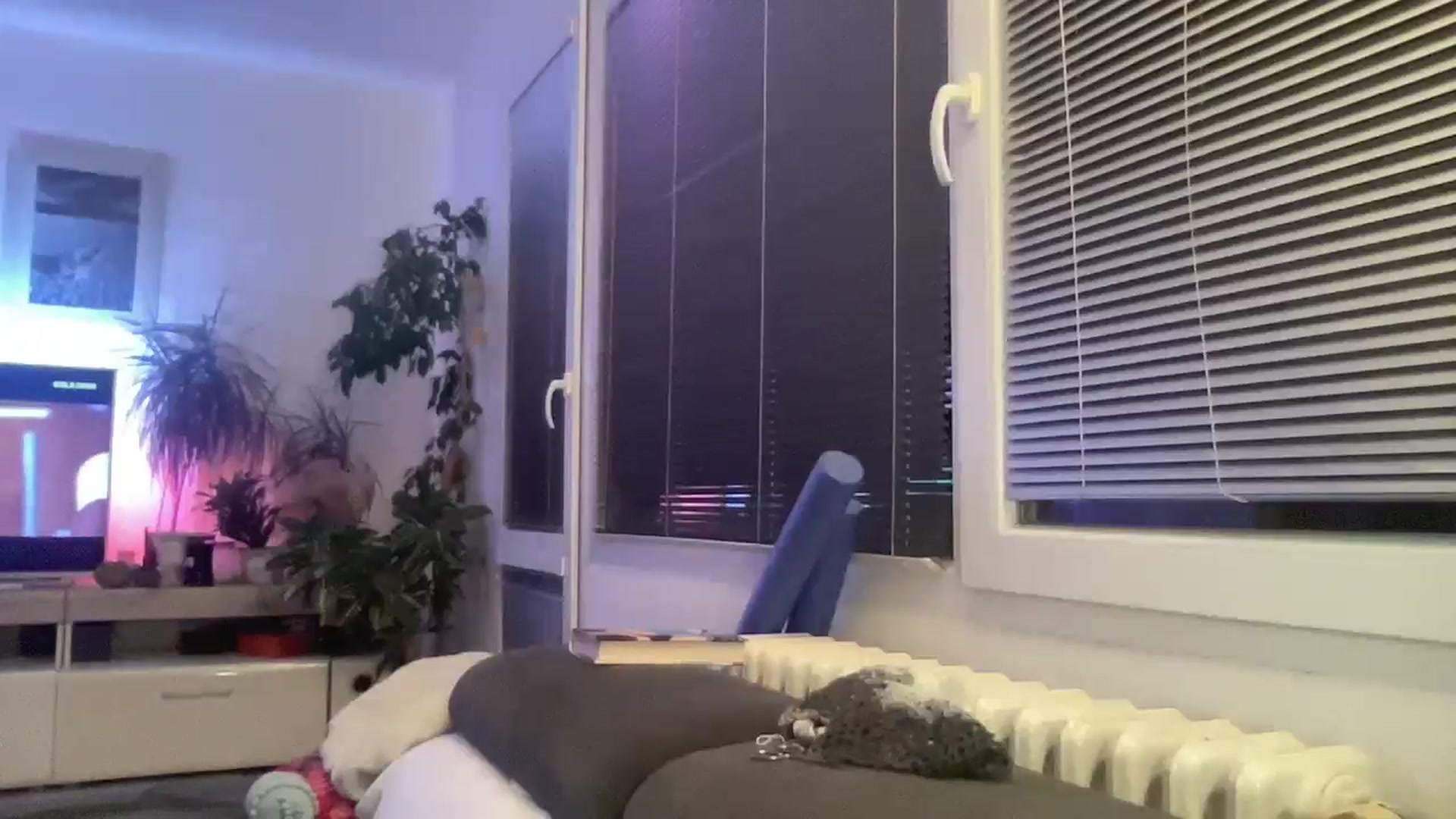 Gallery image thumbnail from Squirrel_MFC's myfreecams stream on, 02/08/2026, 24:00 image 13 of 20