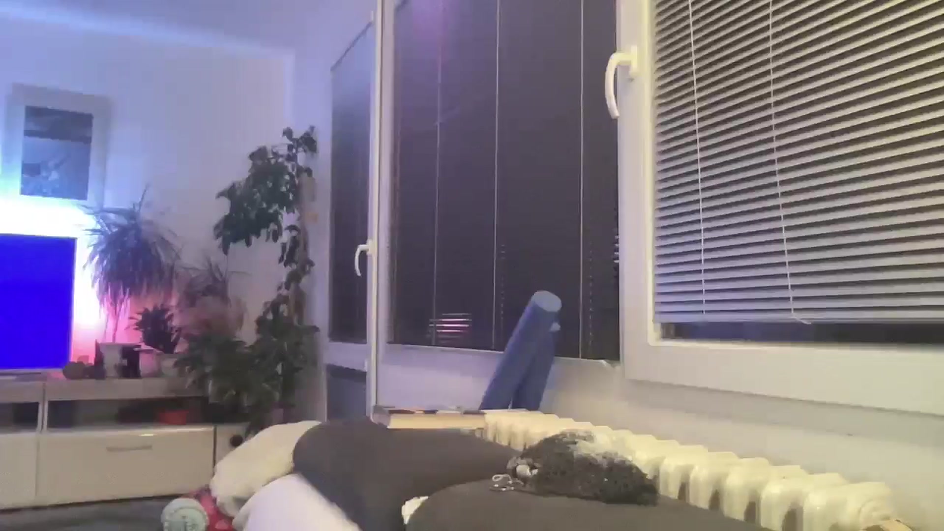 Gallery image thumbnail from Squirrel_MFC's myfreecams stream on, 02/08/2026, 24:00 image 9 of 20