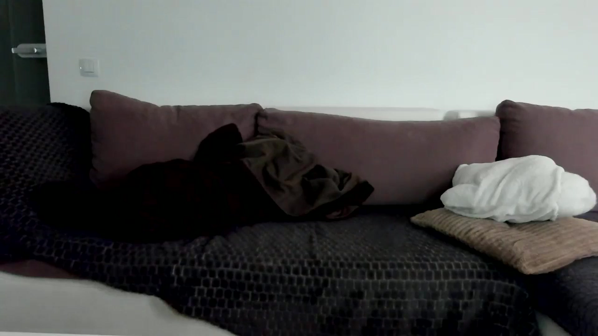 Gallery image thumbnail from SseCretA's myfreecams stream on, 03/13/2024, 07:39 image 10 of 20