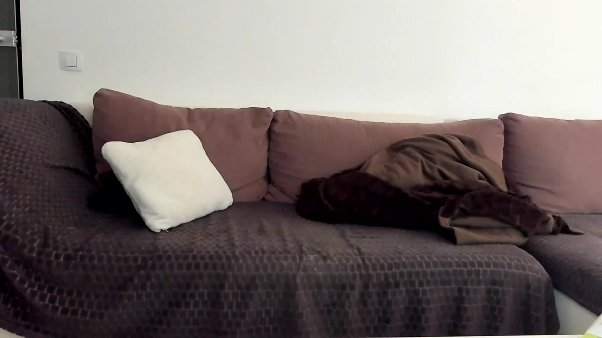 Gallery image thumbnail from SseCretA's myfreecams stream on, 04/05/2024, 09:00 image 16 of 20