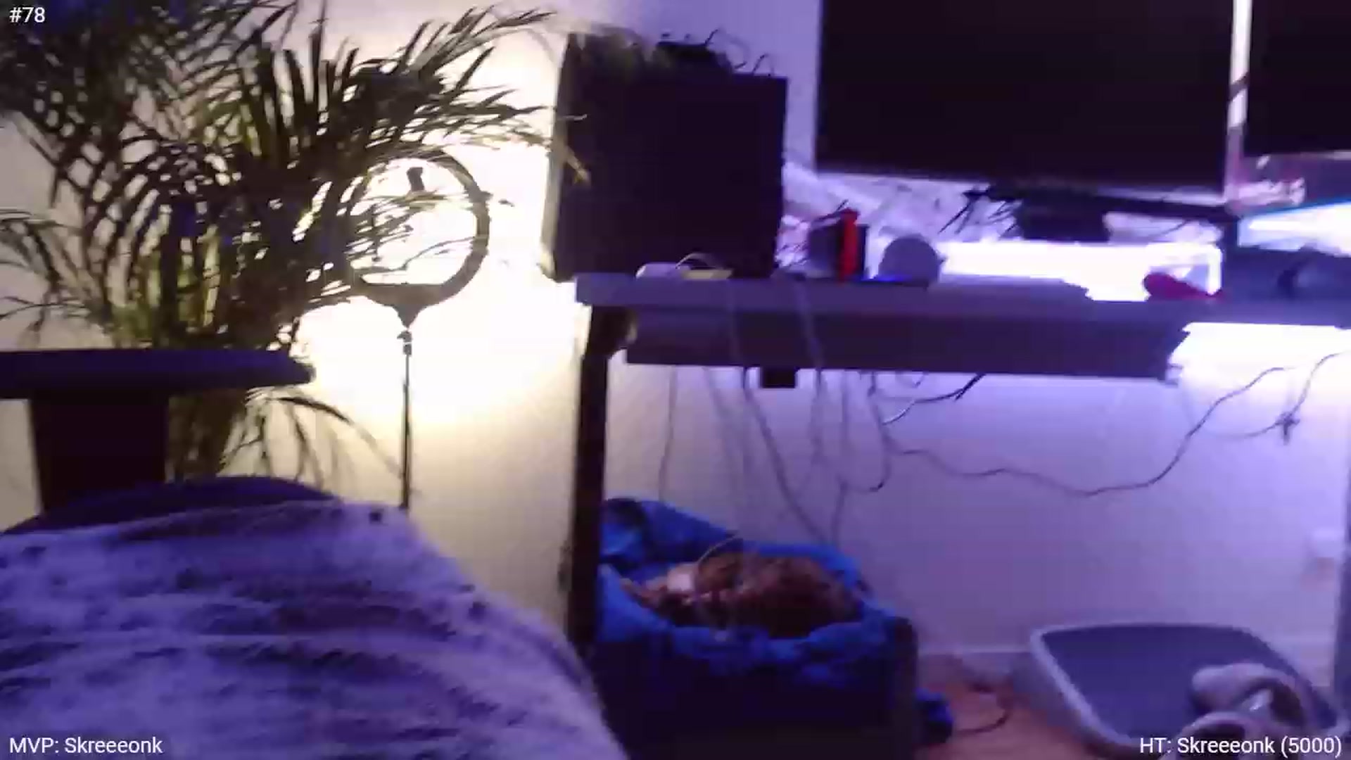 Gallery image thumbnail from StacyDoll's myfreecams stream on, 11/26/2023, 05:35 image 18 of 20