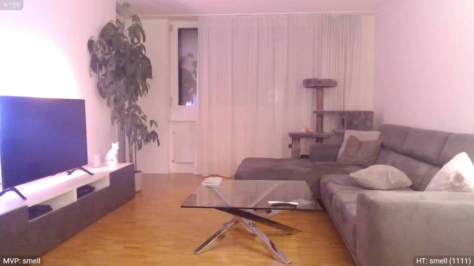 Gallery image thumbnail from StacyDoll's myfreecams stream on, 08/08/2024, 22:18 image 20 of 20