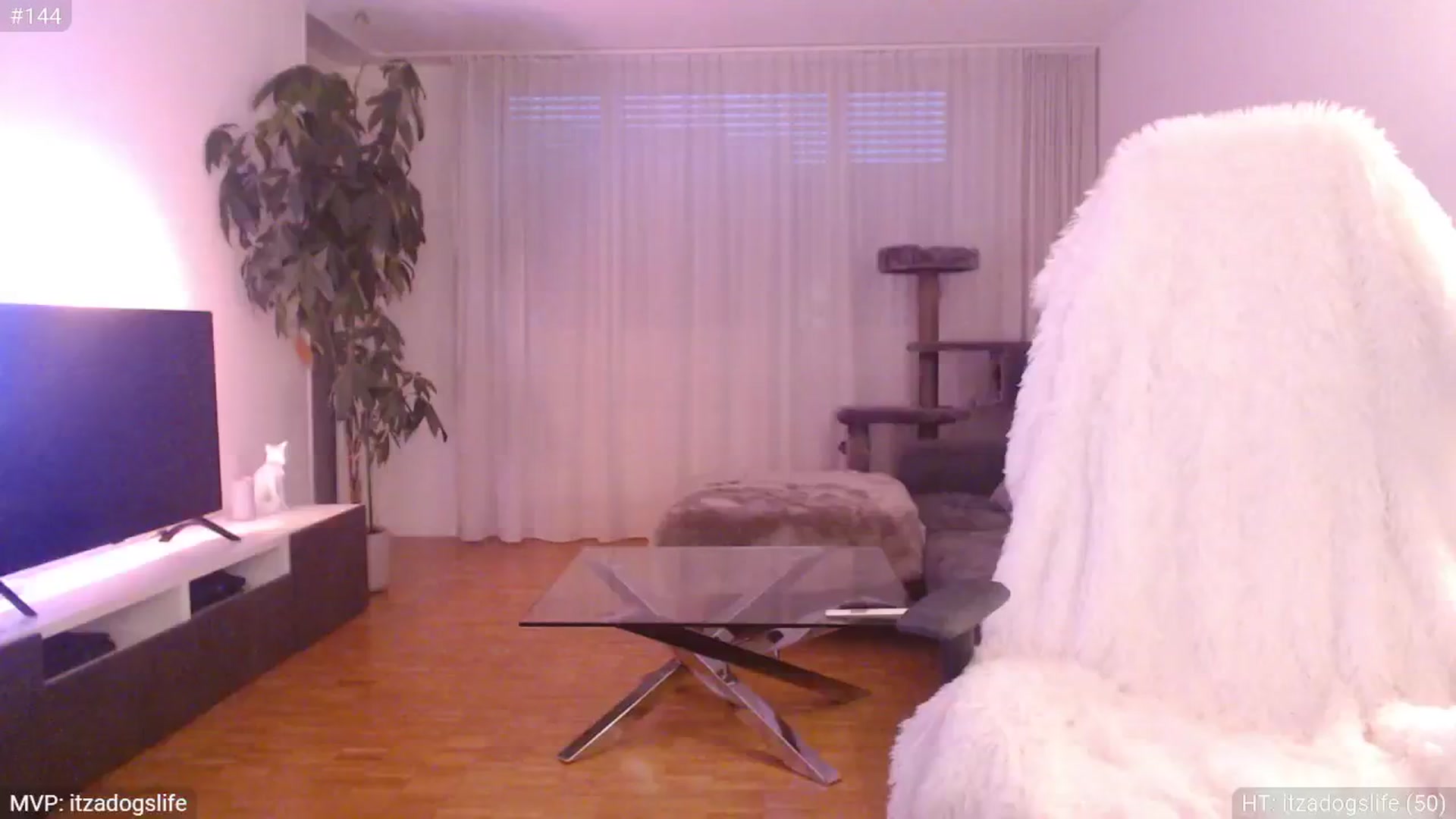 Gallery image thumbnail from StacyDoll's myfreecams stream on, 08/25/2024, 20:12 image 2 of 20