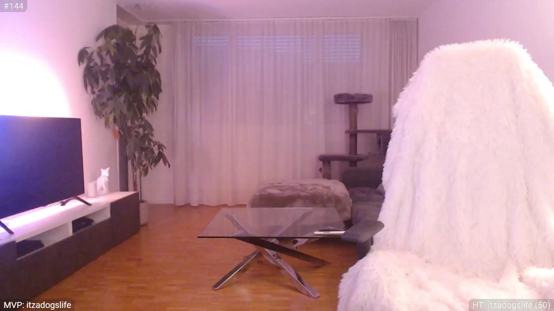 Gallery image thumbnail from StacyDoll's myfreecams stream on, 08/25/2024, 20:12 image 3 of 20