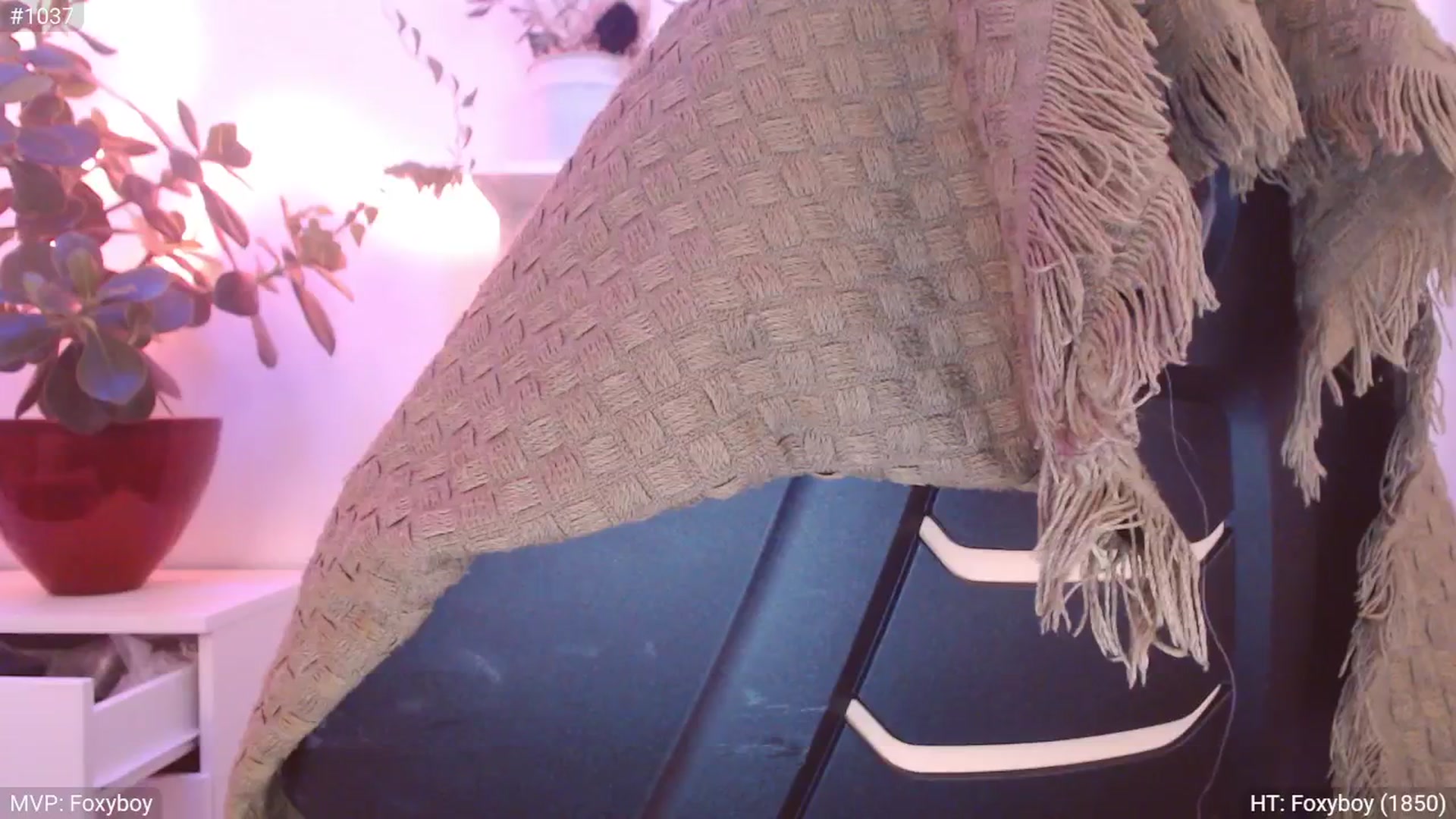 Gallery image thumbnail from StacyDoll's myfreecams stream on, 11/10/2024, 02:08 image 7 of 20