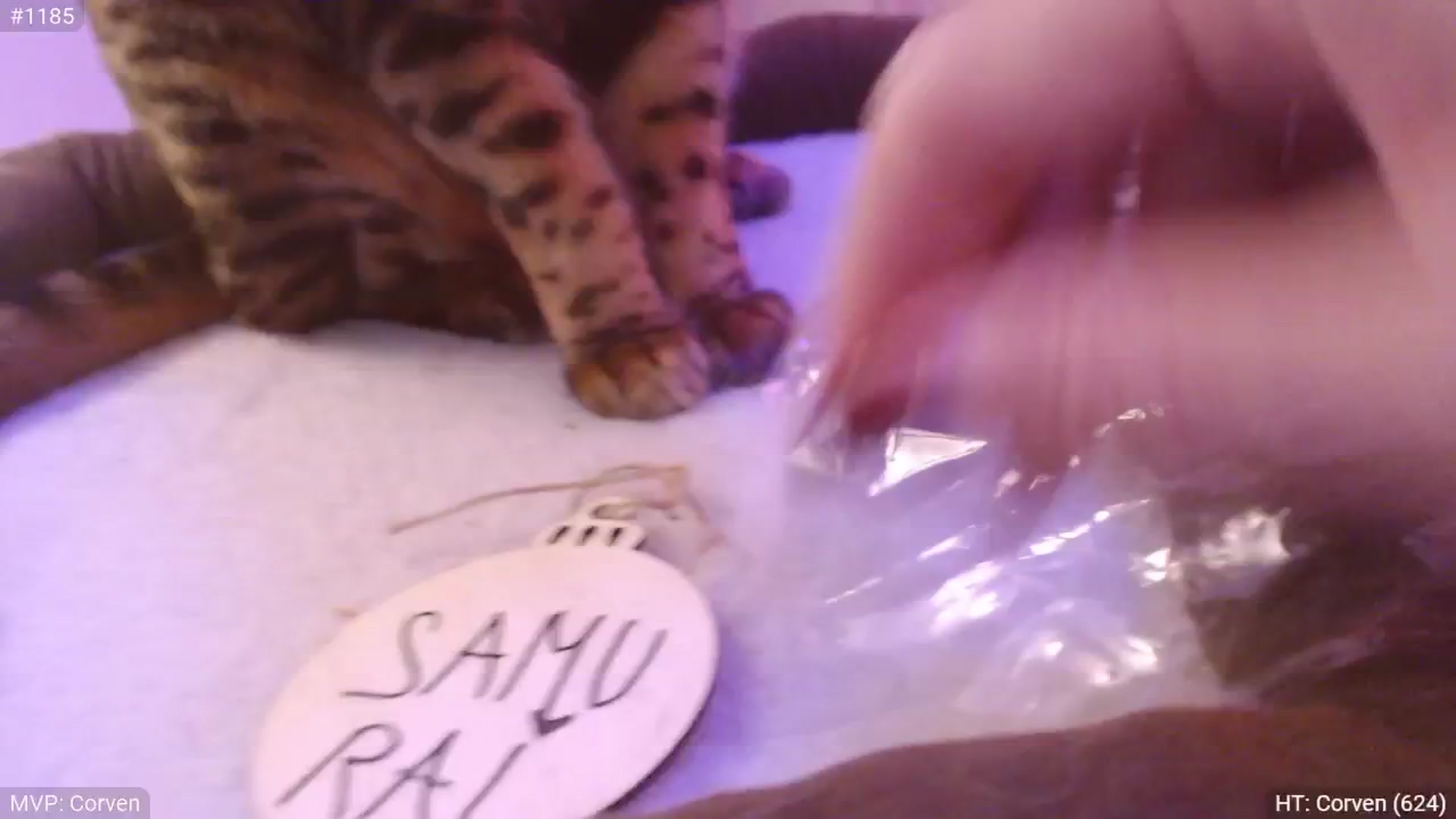 Gallery image thumbnail from StacyDoll's myfreecams stream on, 01/05/2025, 03:16 image 18 of 20