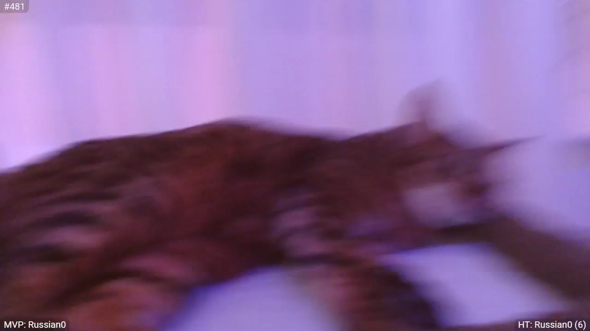 Gallery image thumbnail from StacyDoll's myfreecams stream on, 01/27/2025, 24:55 image 16 of 20