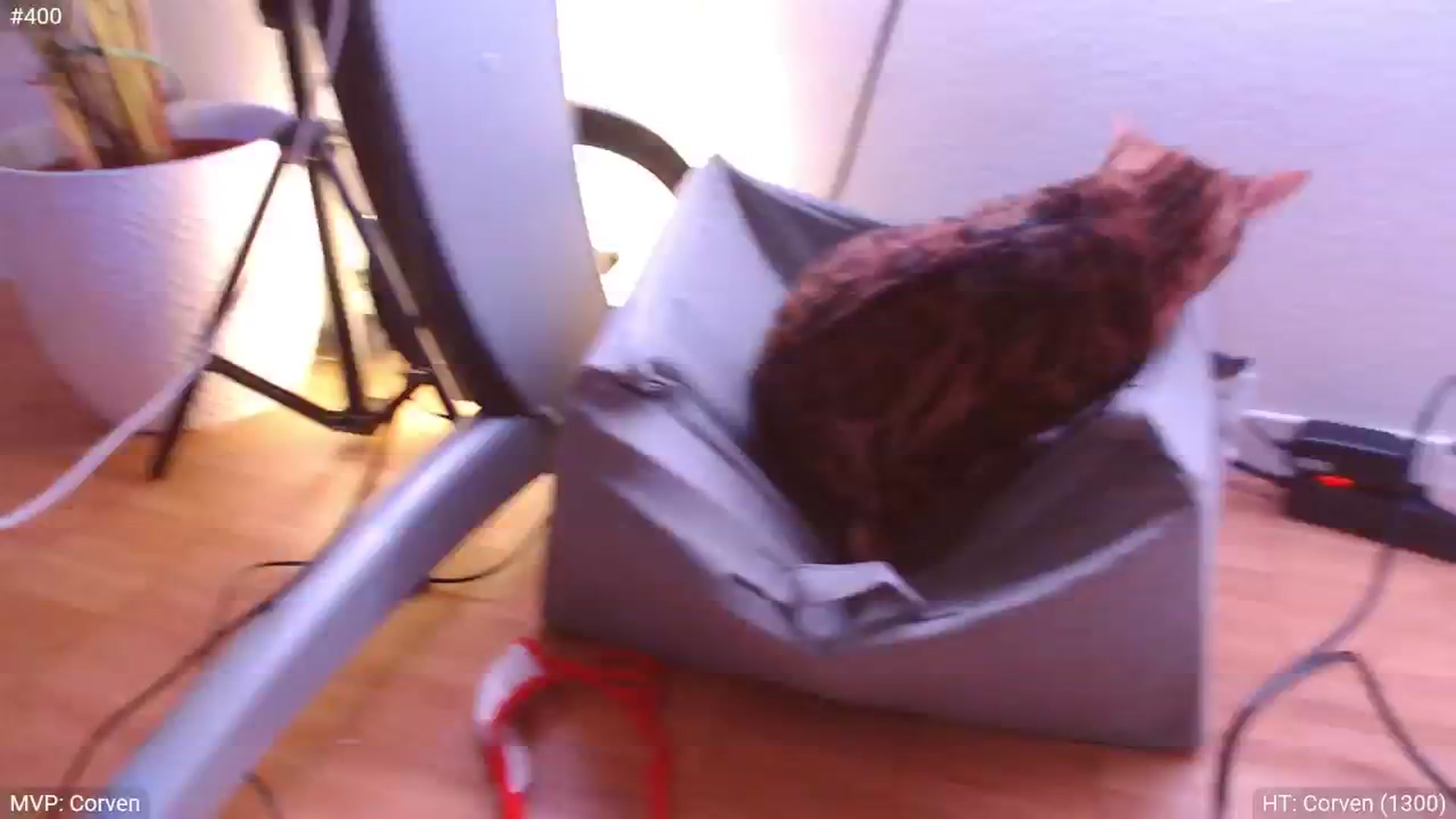 Gallery image thumbnail from StacyDoll's myfreecams stream on, 01/31/2025, 23:16 image 13 of 20