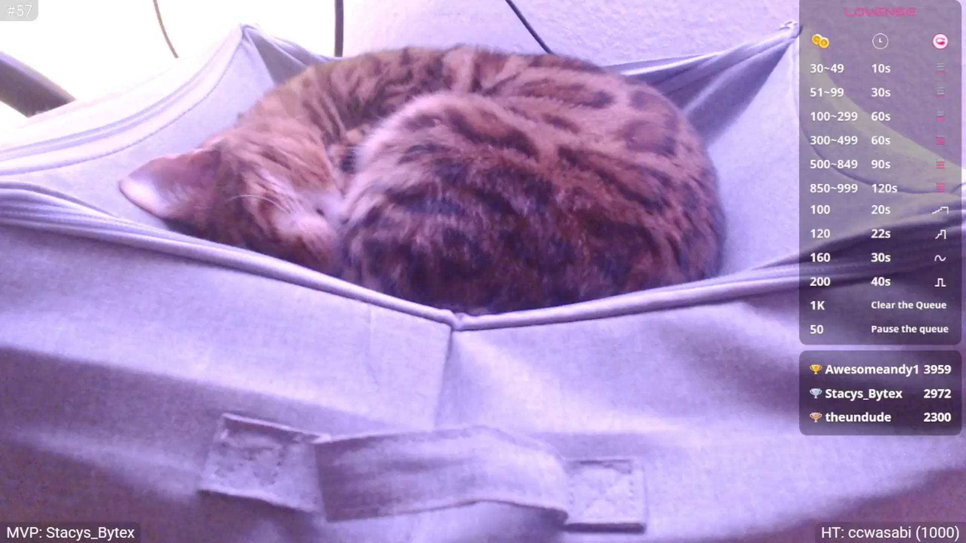 Gallery image thumbnail from StacyDoll's myfreecams stream on, 02/02/2025, 24:53 image 12 of 20