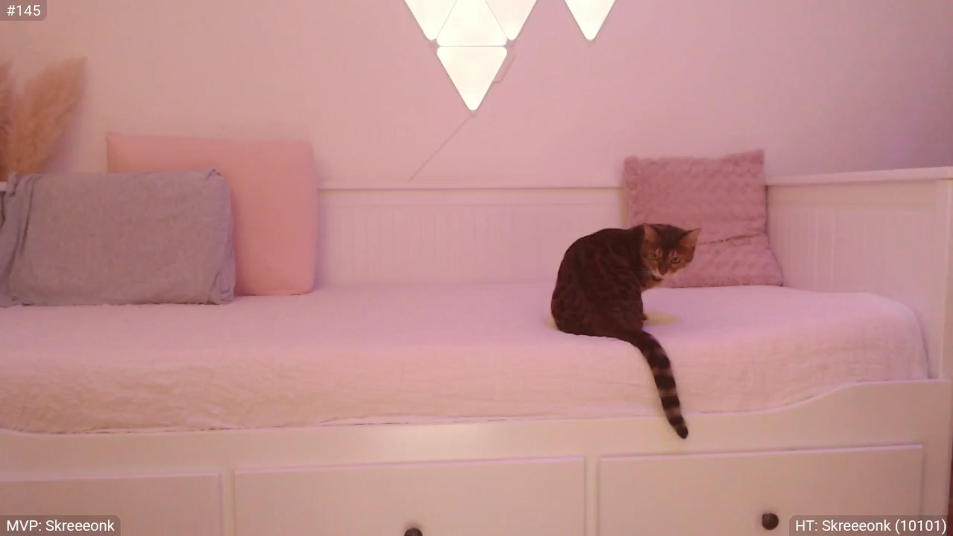 Gallery image thumbnail from StacyDoll's myfreecams stream on, 02/09/2025, 02:06 image 15 of 20