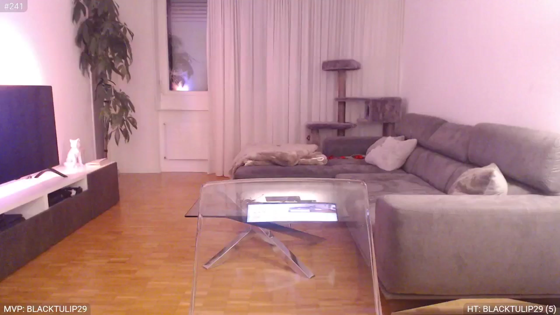 Gallery image thumbnail from StacyDoll's myfreecams stream on, 02/20/2025, 22:39 image 2 of 20