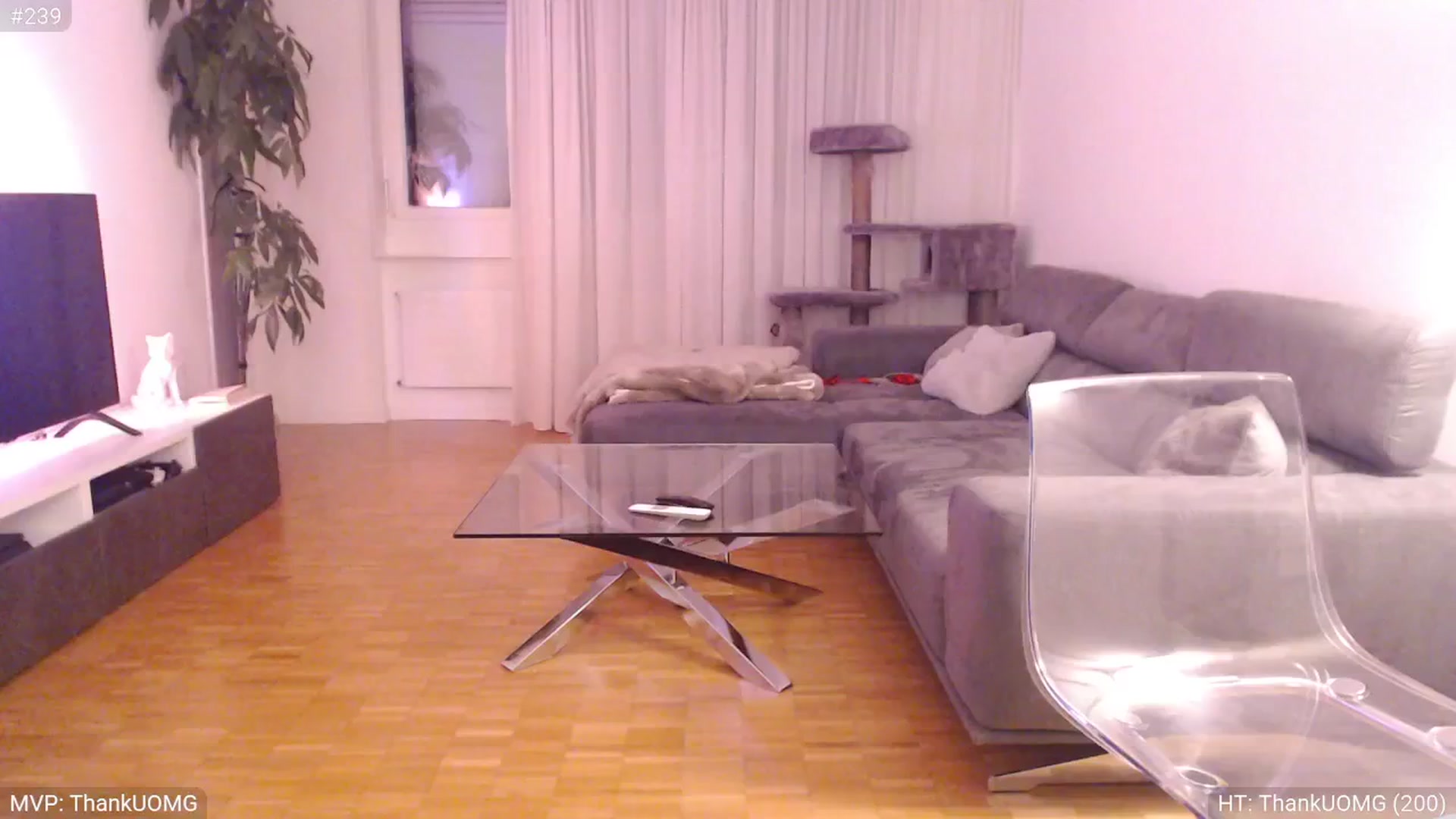 Gallery image thumbnail from StacyDoll's myfreecams stream on, 02/20/2025, 22:39 image 15 of 20