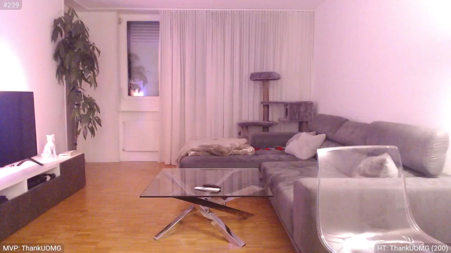 Gallery image thumbnail from StacyDoll's myfreecams stream on, 02/20/2025, 22:39 image 14 of 20