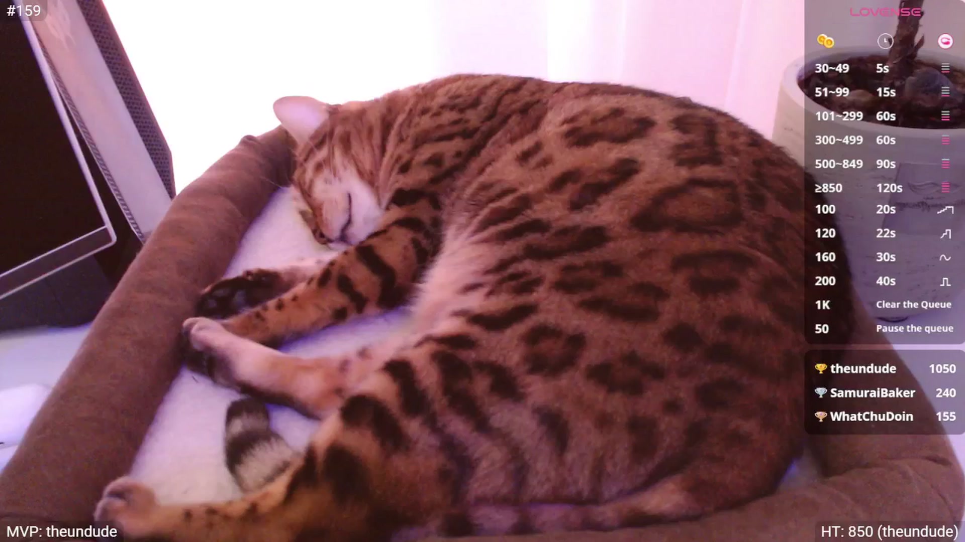 Gallery image thumbnail from StacyDoll's myfreecams stream on, 04/12/2025, 22:57 image 8 of 20