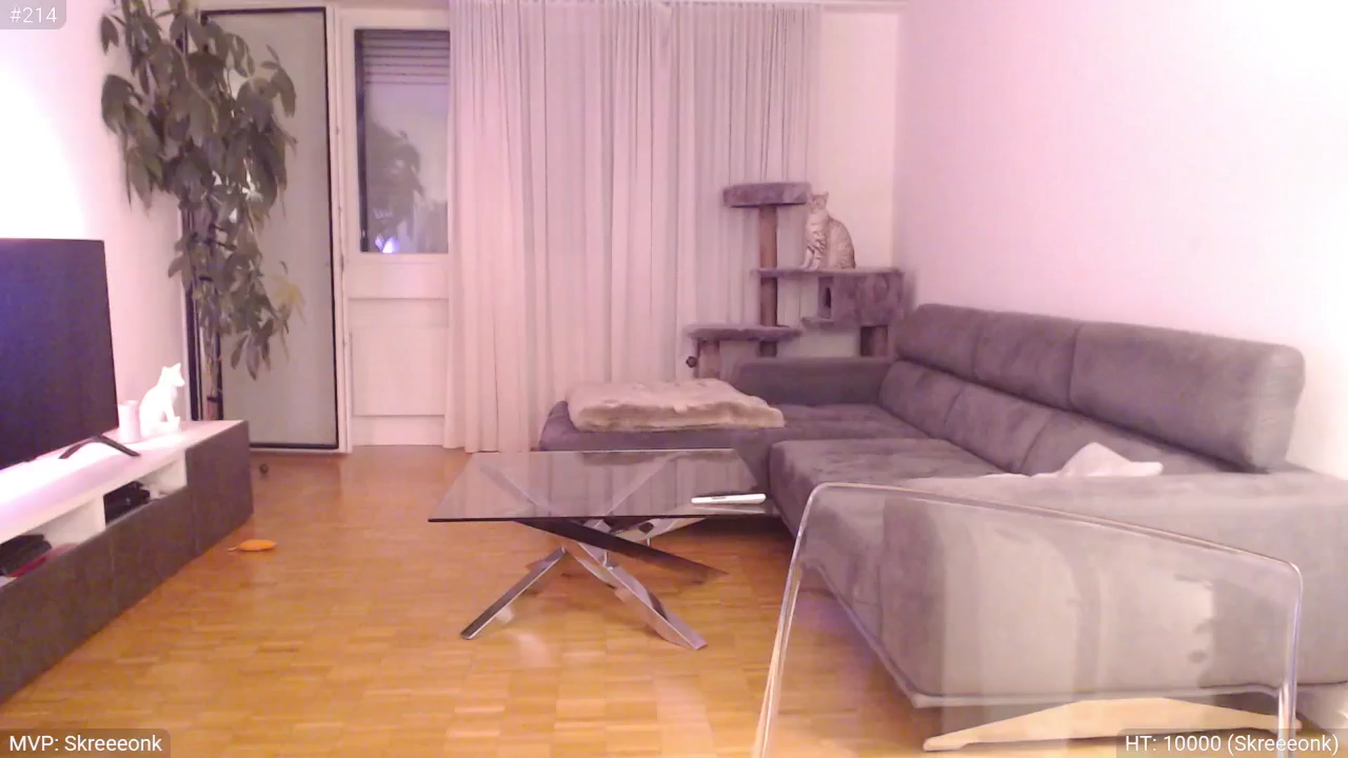 Gallery image thumbnail from StacyDoll's myfreecams stream on, 05/13/2025, 24:06 image 16 of 20