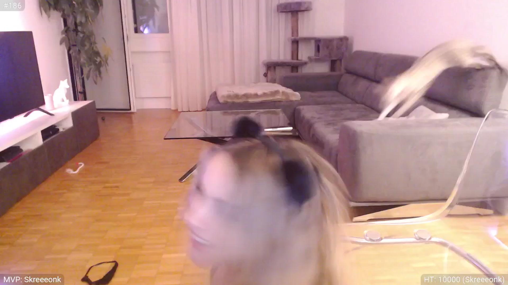 Gallery image thumbnail from StacyDoll's myfreecams stream on, 05/13/2025, 01:21 image 15 of 20