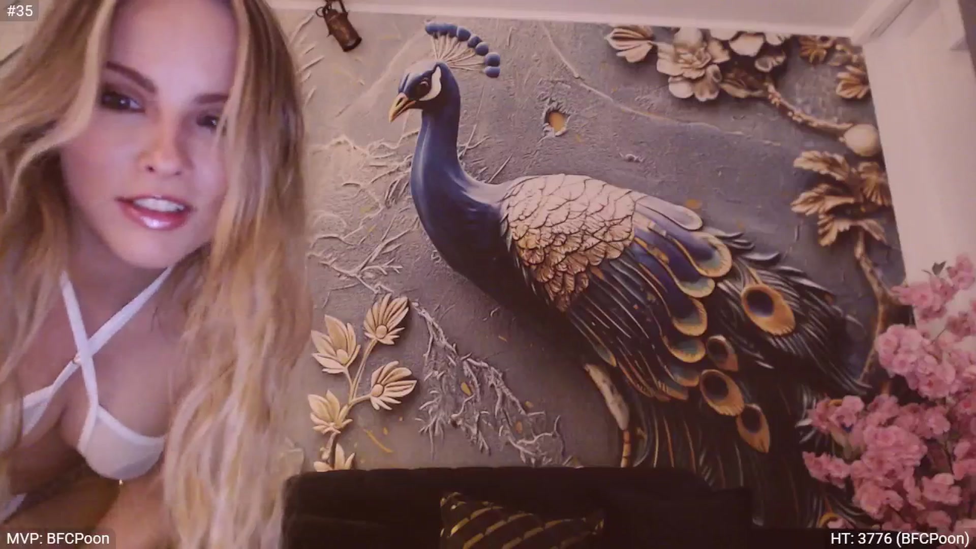 Gallery image thumbnail from StacyDoll's myfreecams stream on, 06/01/2025, 20:59 image 2 of 20
