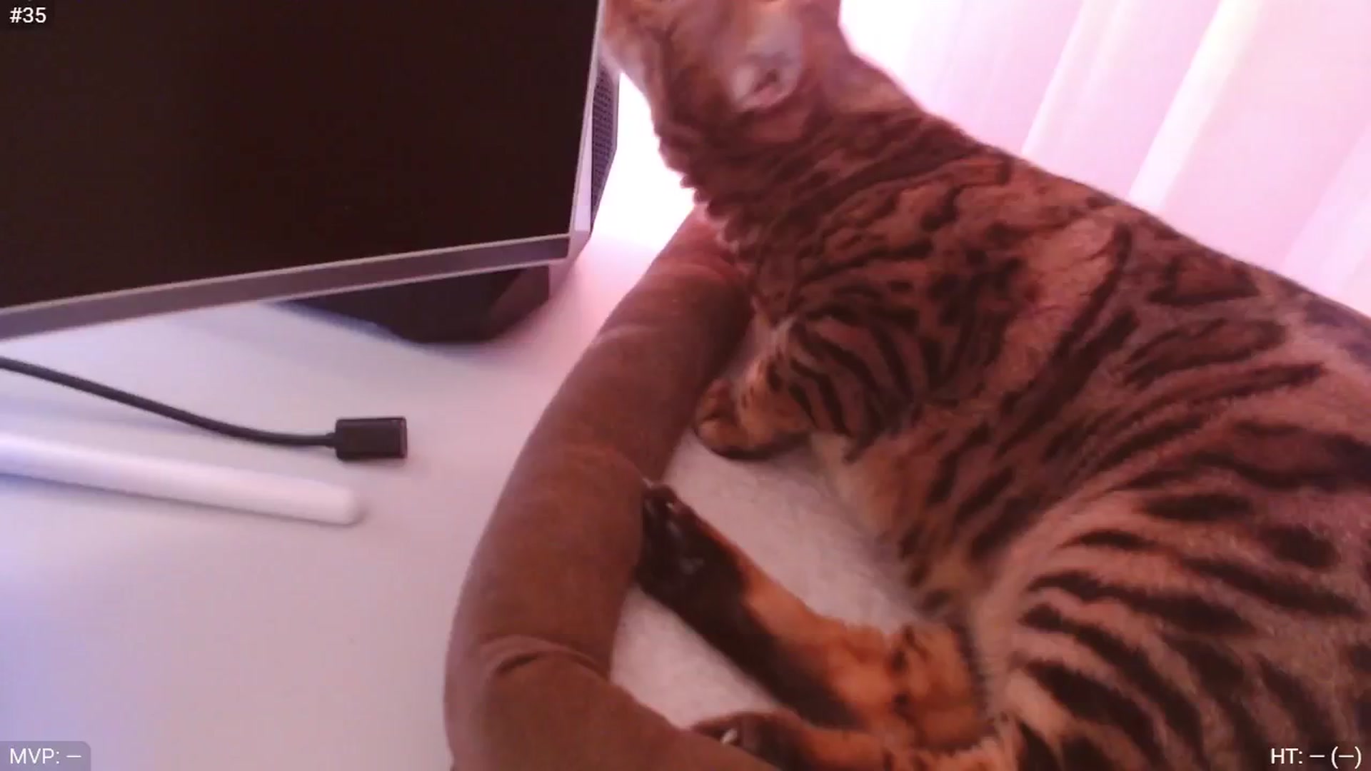 Gallery image thumbnail from StacyDoll's myfreecams stream on, 06/18/2025, 15:11 image 7 of 20