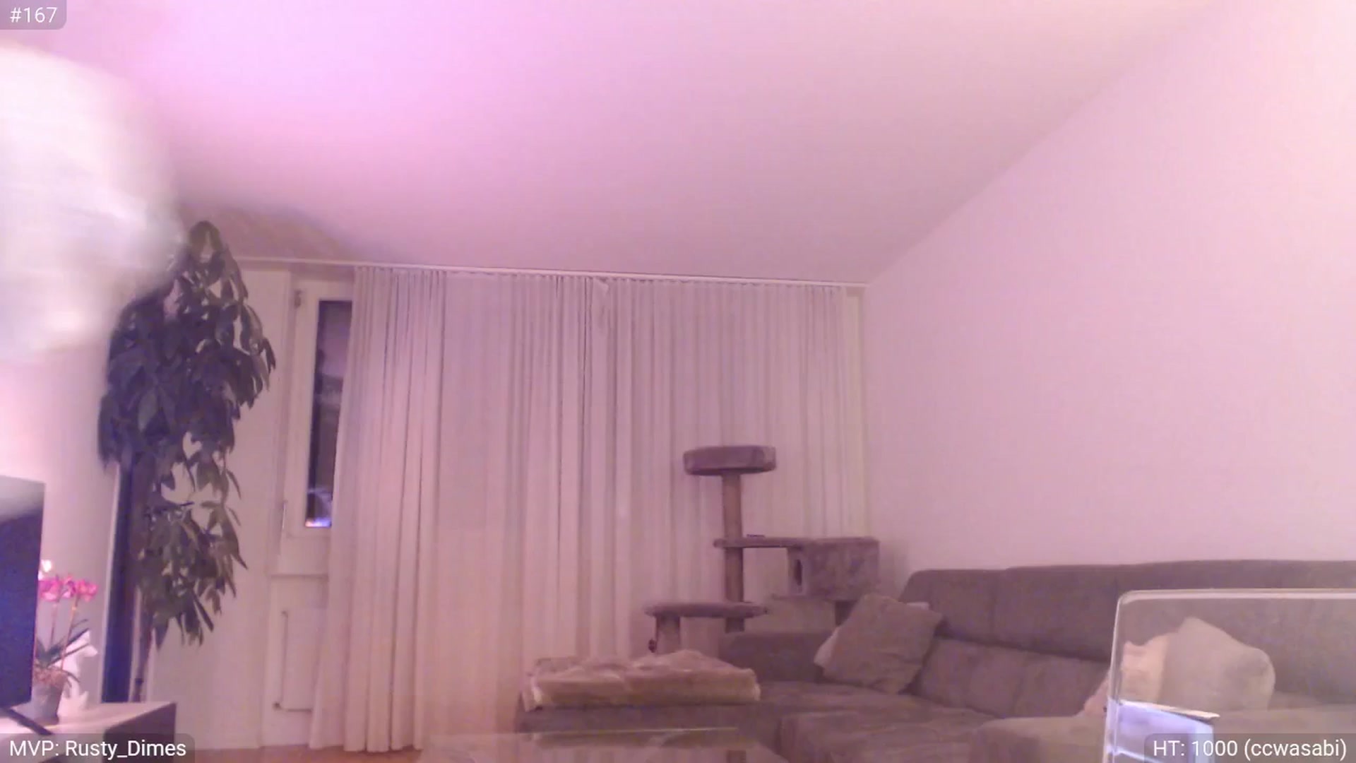 Gallery image thumbnail from StacyDoll's myfreecams stream on, 08/17/2025, 23:18 image 7 of 20