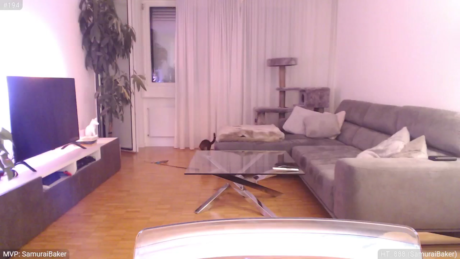Gallery image thumbnail from StacyDoll's myfreecams stream on, 09/28/2025, 23:20 image 18 of 20
