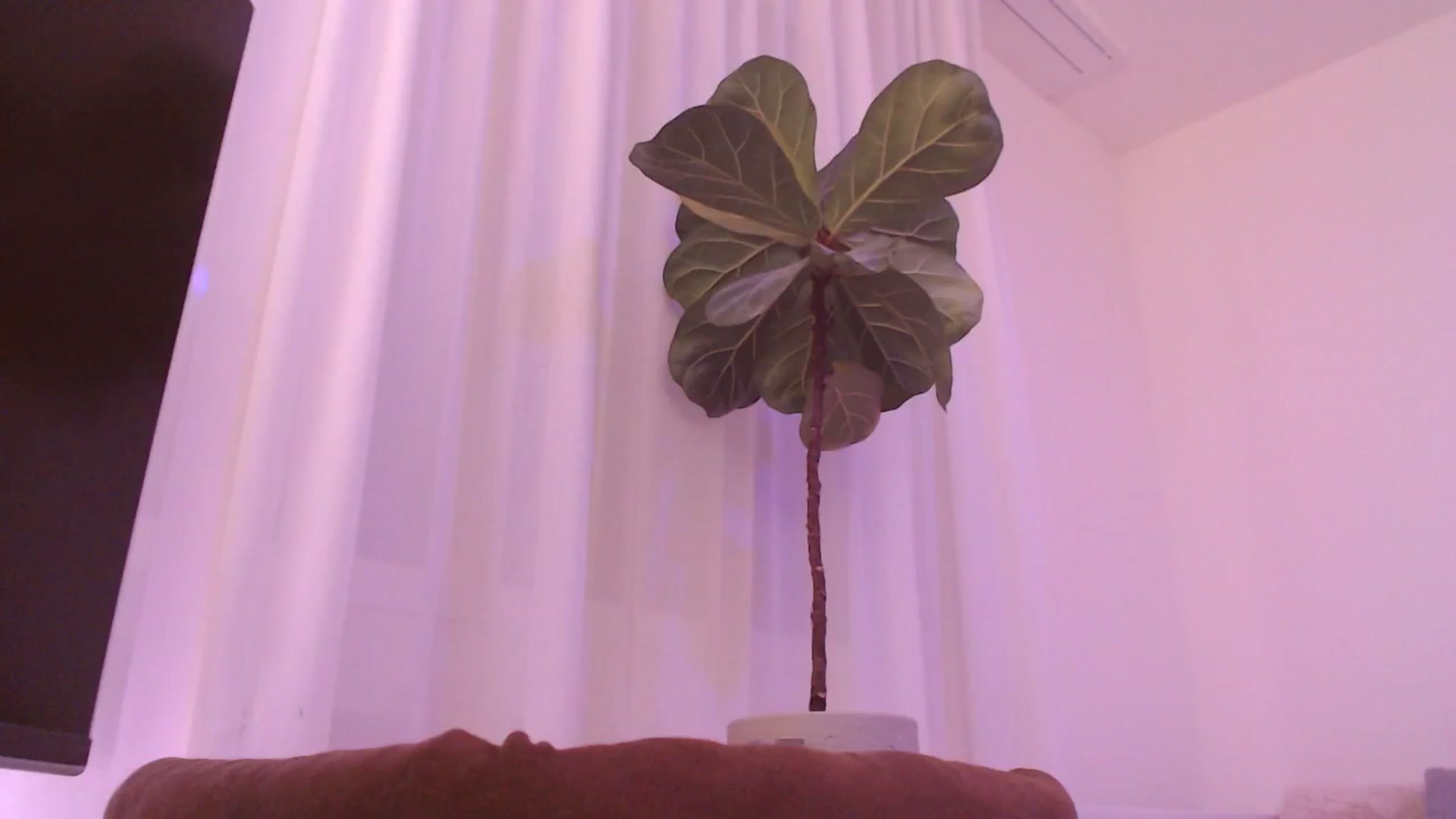 Gallery image thumbnail from StacyDoll's myfreecams stream on, 11/06/2025, 22:59 image 2 of 20