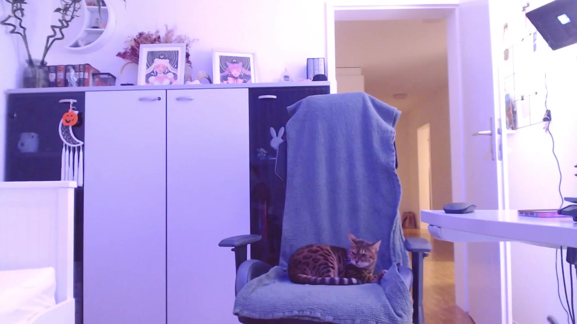 Gallery image thumbnail from StacyDoll's myfreecams stream on, 11/24/2025, 01:23 image 18 of 20