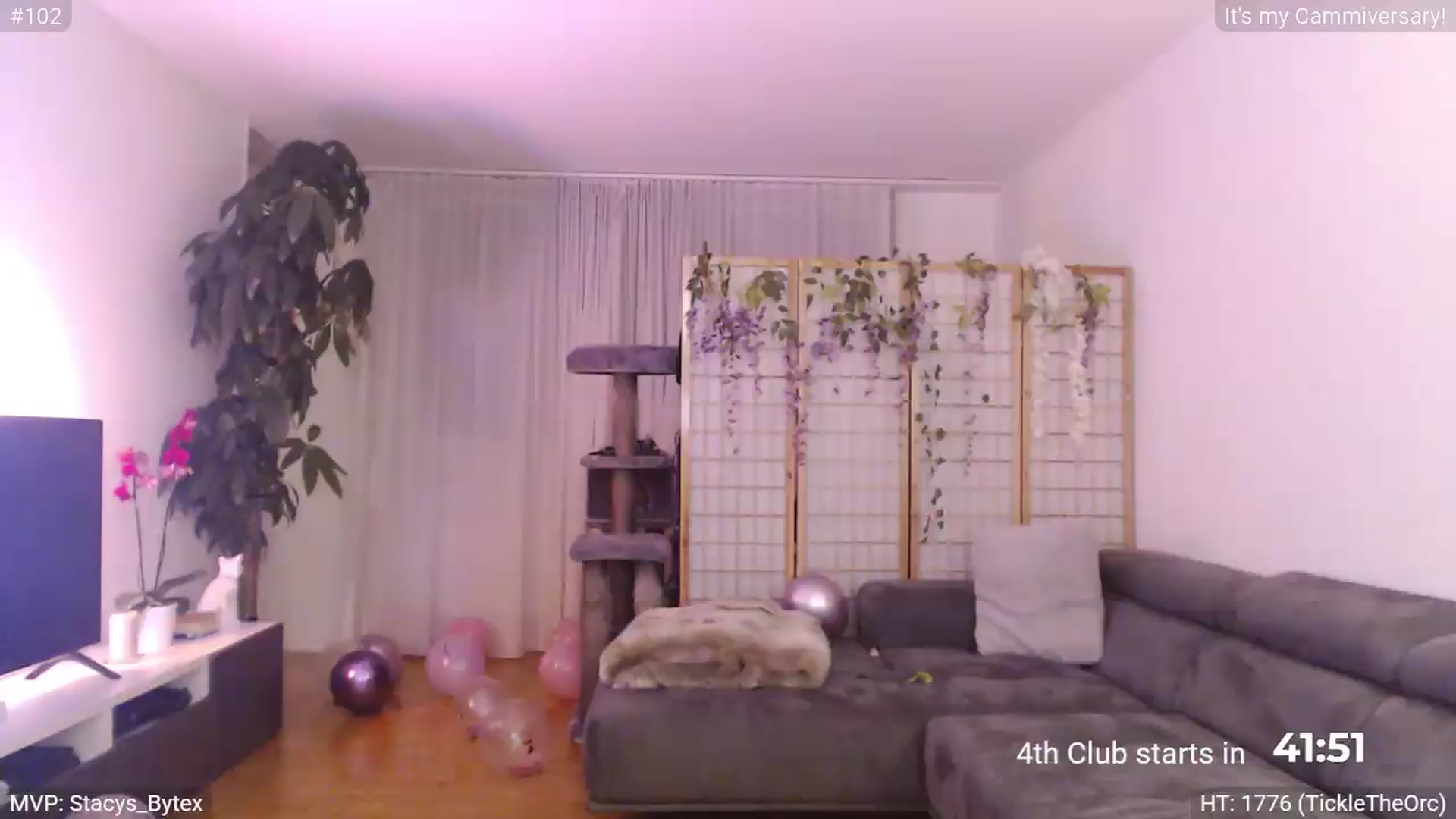 Gallery image thumbnail from StacyDoll's myfreecams stream on, 06/14/2026, 01:24 image 14 of 20