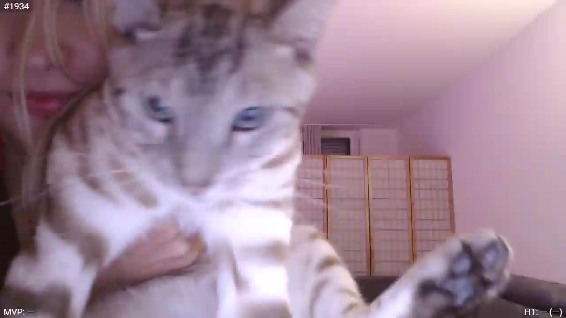 Gallery image thumbnail from StacyDoll's myfreecams stream on, 07/22/2026, 22:01 image 3 of 20