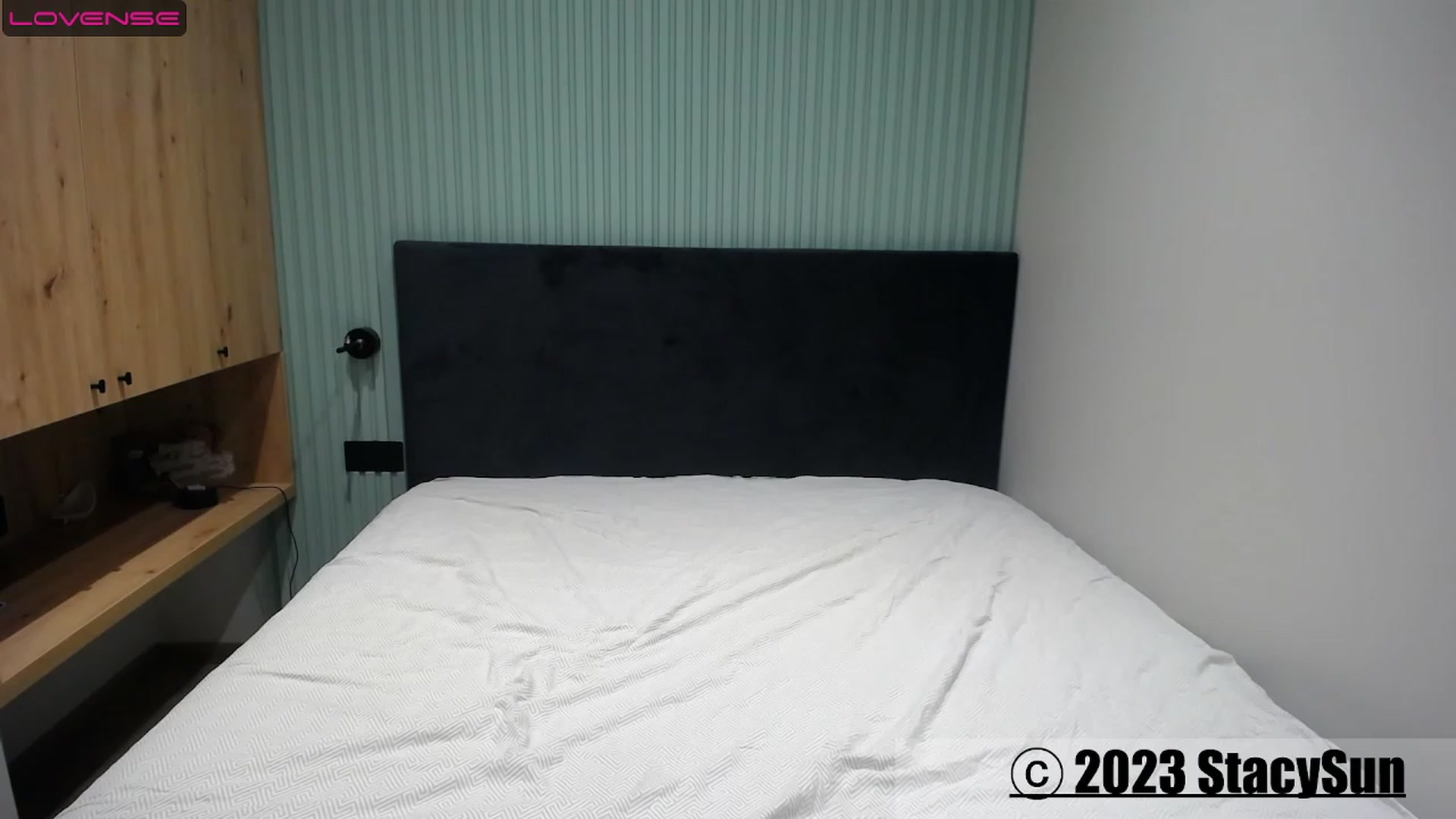 Gallery image thumbnail from StacySun's myfreecams stream on, 07/10/2023, 23:45 image 10 of 20