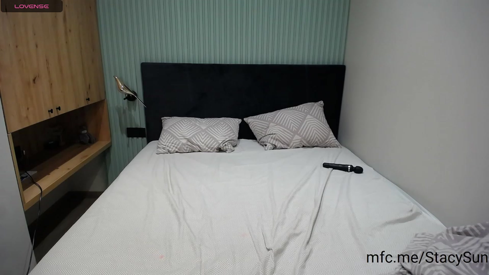 Gallery image thumbnail from StacySun's myfreecams stream on, 08/21/2023, 23:36 image 3 of 20