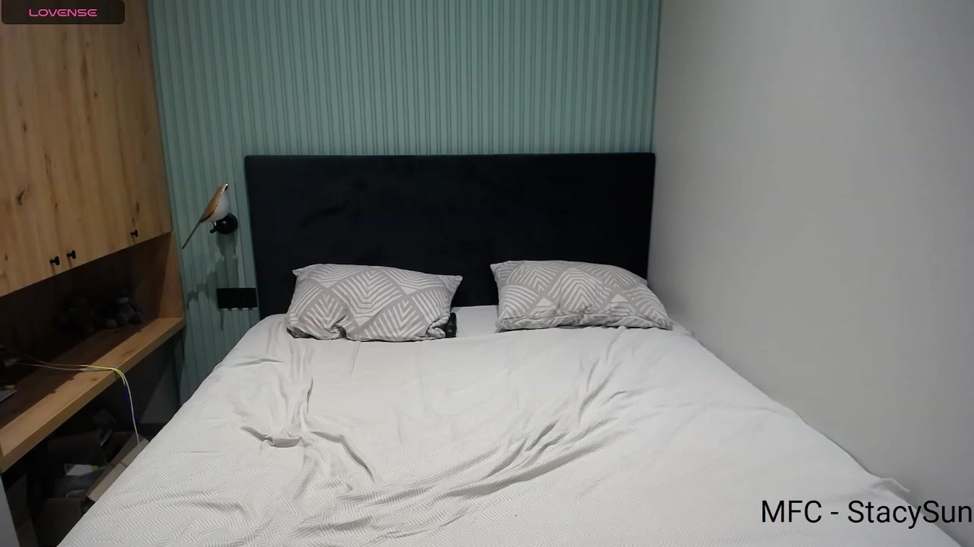 Gallery image thumbnail from StacySun's myfreecams stream on, 09/14/2023, 22:35 image 17 of 20